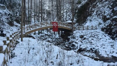 GÜMÜŞHANE (AA) – Gümüşhane'de Örümcek Ormanları'nın içinden doğup 15 metreden