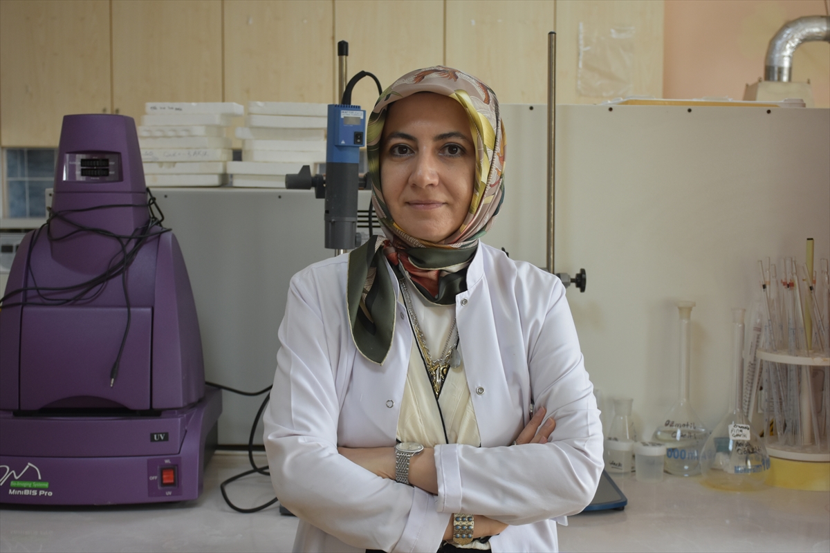 - Selçuk Üniversitesinde, lifli gıdaların incelendiği ve uluslararası dergide yayımlanan