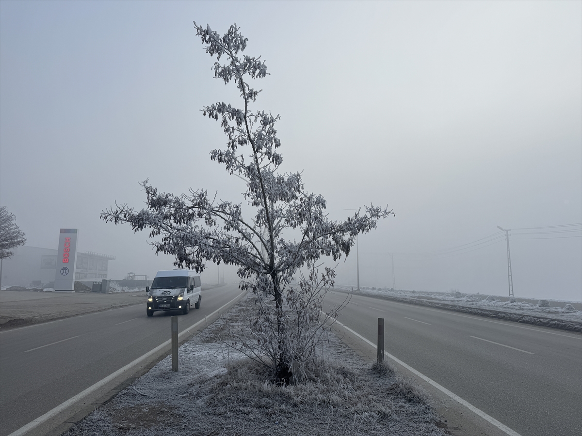 HAKKARİ (AA) – Hakkari'nin Yüksekova ilçesinde soğuk hava ve yoğun