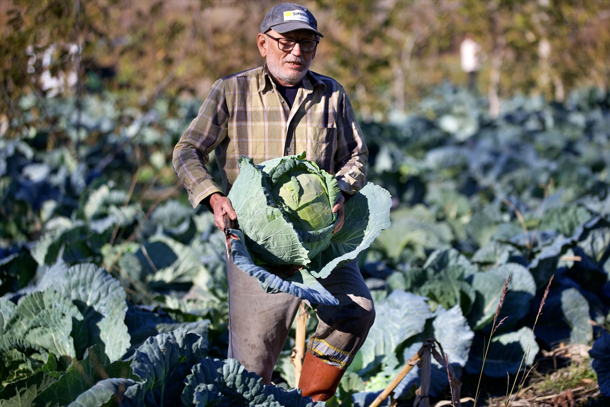 - Osmaniye'nin Hasanbeyli ilçesinde, emekli olduktan sonra dedesinden kalma arazide