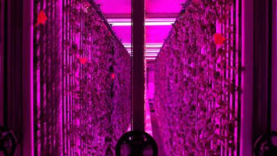 - İGSAŞ Genel Müdürü İlkay Ünal:
- "Projeyle, yerin 30 metre