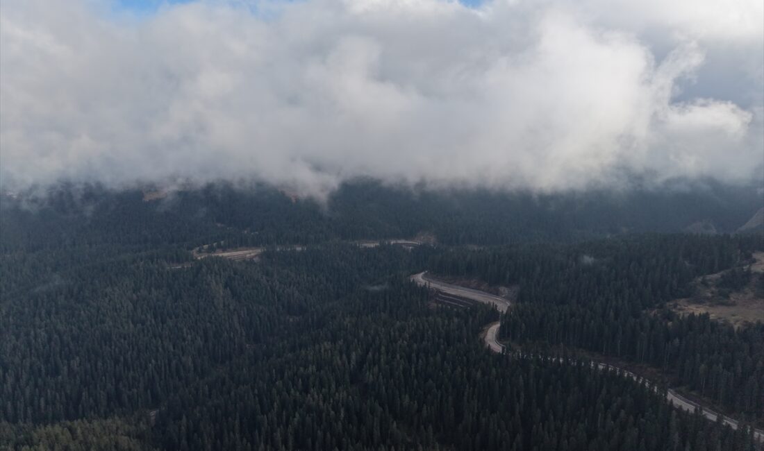 KASTAMONU (AA) – Kastamonu-Çankırı sınırındaki Ilgaz Dağı'nda sis etkili oldu.