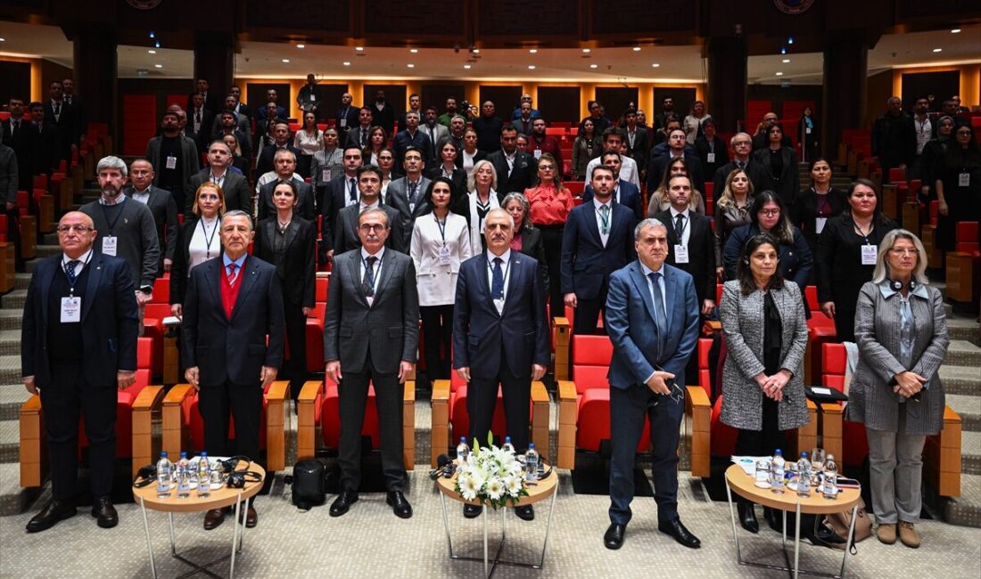 - Hazine ve Maliye Bakan Yardımcısı Osman Çelik:
- "Daha dengeli