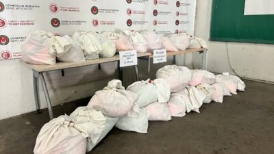 EDİRNE (AA) – Kapıkule Sınır Kapısı'nda bir tırda çiçek saksılarına