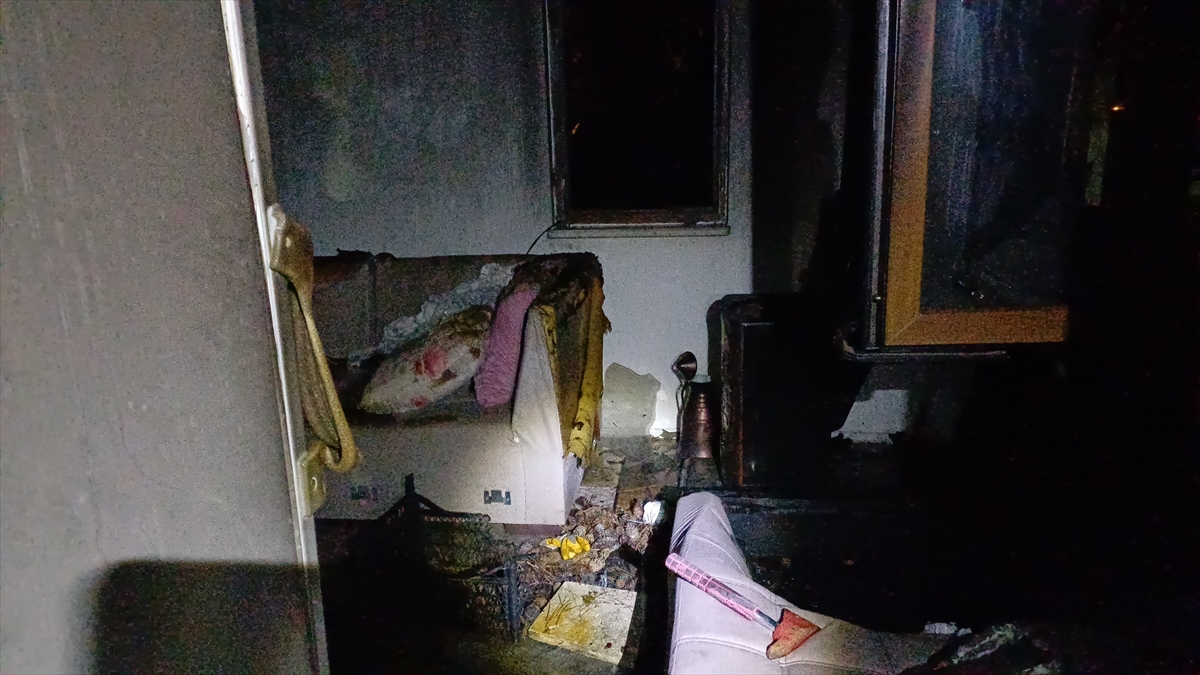 KARABÜK (AA) – Karabük'ün Safranbolu ilçesinde, bir evin müştemilatında çıkan