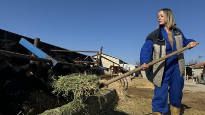 - Tarım ve Orman Bakanlığınca yürütülen "Kırsalda Bereket, Hayvancılığa Destek