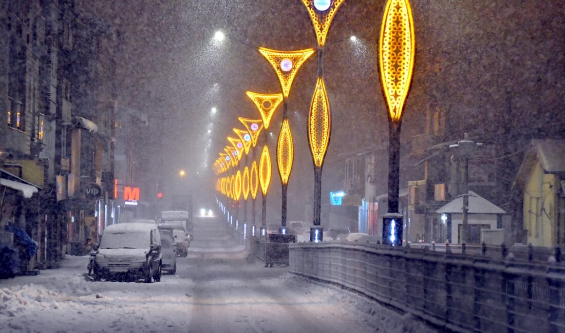 KARS (AA) – Kars'ta etkili olan kar yağışı yaşamı olumsuz