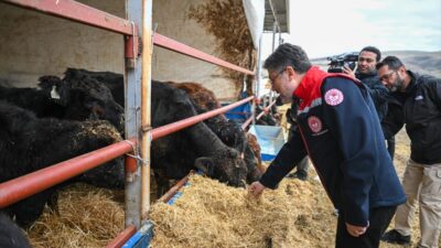 - Tarım ve Orman Bakanı İbrahim Yumaklı:
- "Projede özellikle Türkiye'de