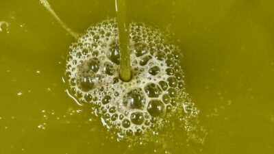 - Hatay'ın Altınözü ilçesinde muhtar Ahmet Sarı'nın Tarım ve Kırsal