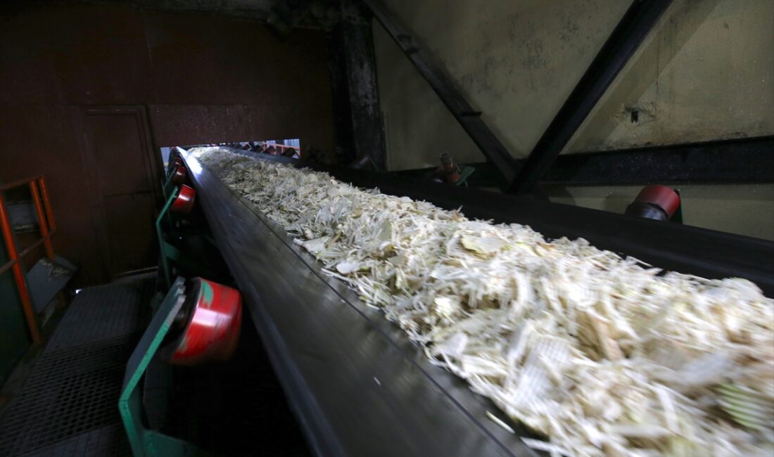 - Muş Şeker Üretim Sanayi AŞ Genel Müdürü Turgut Kızılkaya:
-