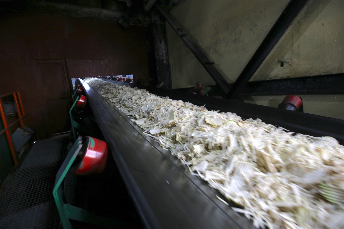 - Muş Şeker Üretim Sanayi AŞ Genel Müdürü Turgut Kızılkaya:
-