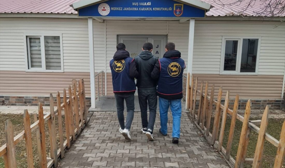 MUŞ (AA) – Muş'ta hakkında kesinleşmiş 3 yıl 4 ay