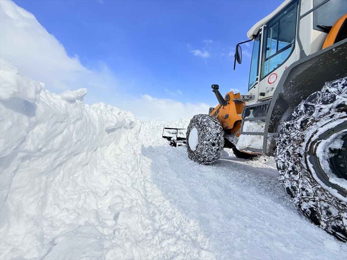 MUŞ (AA) – Muş'un Korkut ilçesinde yolu kardan kapanan mezrada