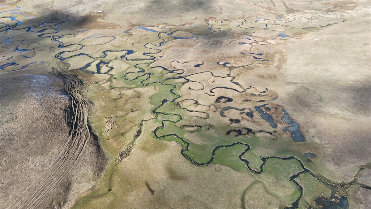 ORDU (AA) – Ordu'nun Aybastı ilçesinde menderesleriyle ünlü Perşembe Yaylası,