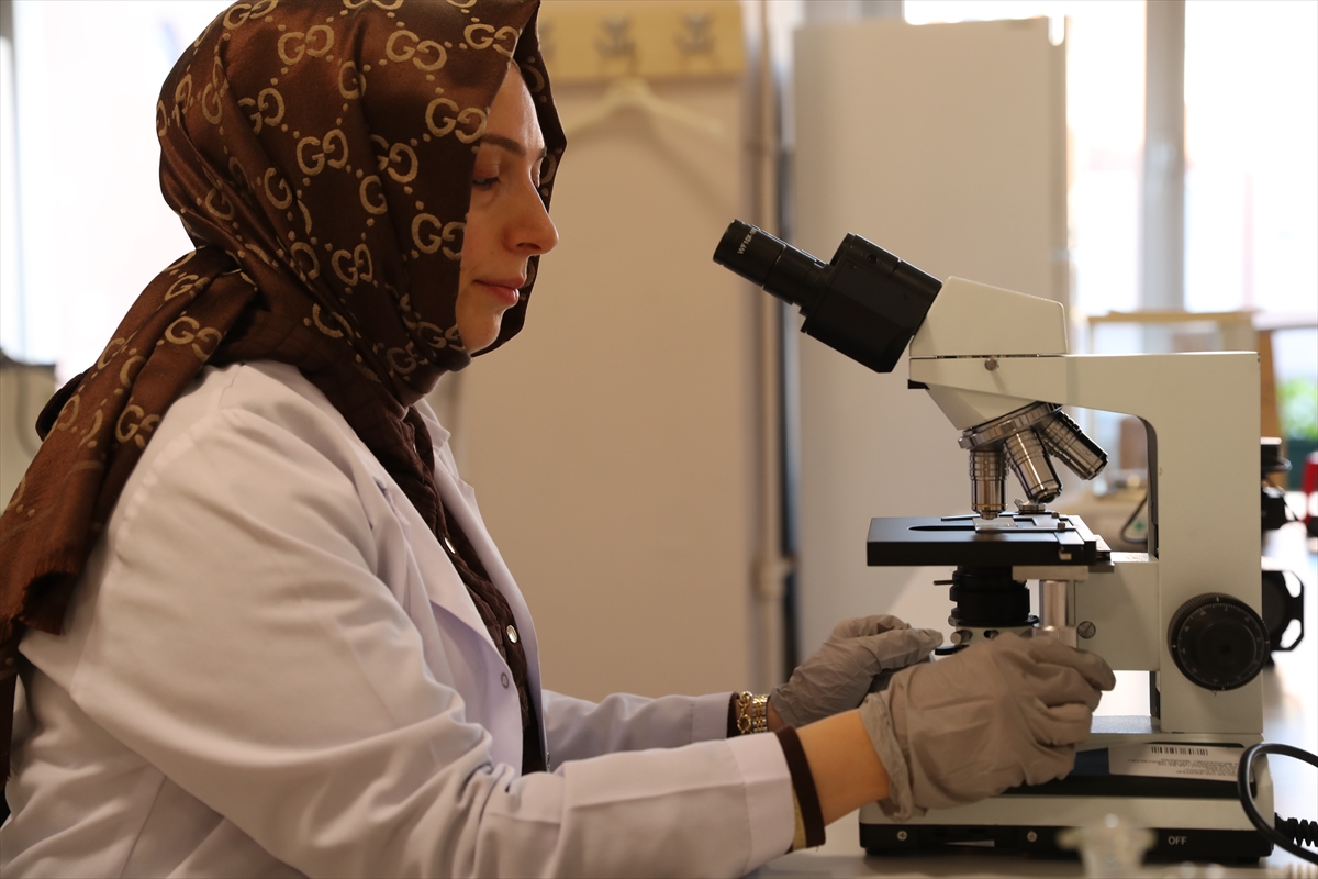 - Bilimsel çalışmalarla doğal ve organik uçucu yağ bileşenlerinden geliştirilen