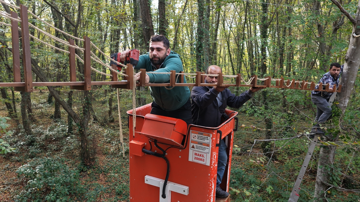- Samsun'un Terme ilçesinde Kent Ormanı'nda sincapların rahat geçmesi için