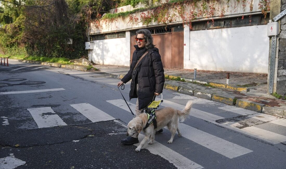 - Henüz yavruyken başladıkları sosyalleşmeden trafik uyumuna kadar uzanan kapsamlı