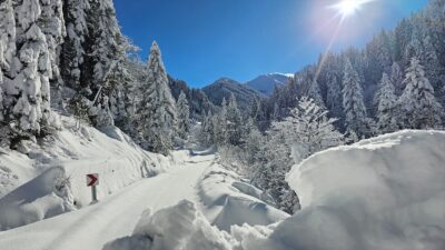 RİZE (AA) – Rize'de aralıklarla etkisini sürdüren karın ardından beyaz