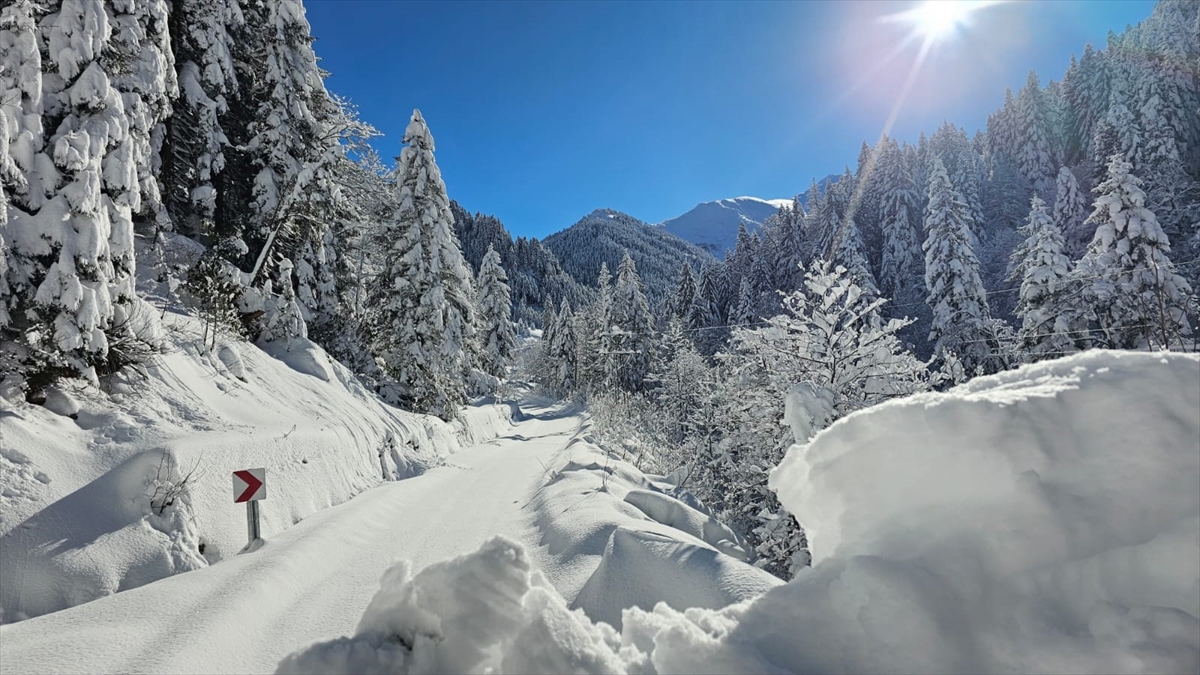 RİZE (AA) – Rize'de aralıklarla etkisini sürdüren karın ardından beyaz
