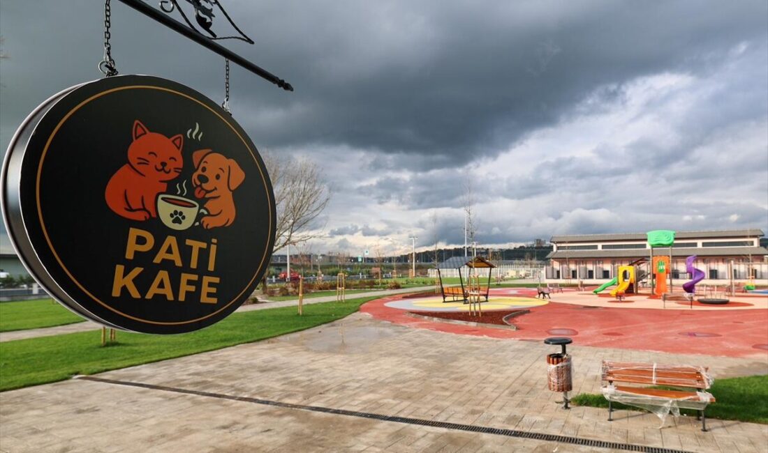 - Büyükşehir Belediyesince 105 dönümlük arazi üzerine kurulan kampüs, sahipsiz