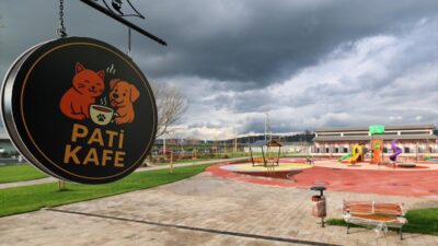 - Büyükşehir Belediyesince 105 dönümlük arazi üzerine kurulan kampüs, sahipsiz