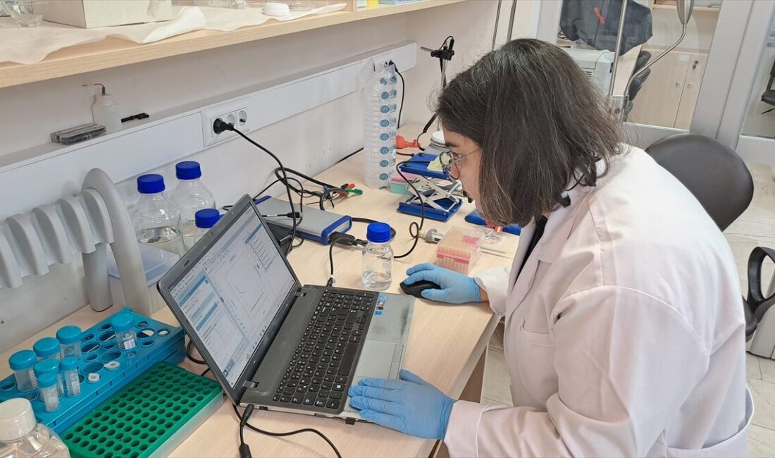 SAKARYA (AA) – Sakarya'da diyabet hastalarının parmak ucundan kan alma