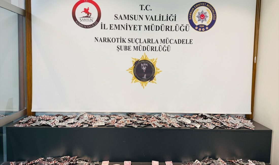 SAMSUN (AA) – Samsun'un İlkadım ilçesinde ikametinde 10 bin 360