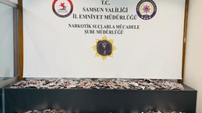 SAMSUN (AA) – Samsun'un İlkadım ilçesinde ikametinde 10 bin 360