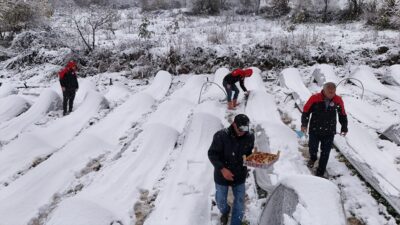 SAMSUN (AA) – Samsun'un Alaçam ilçesinin yüksek kesimlerinde kar etkili