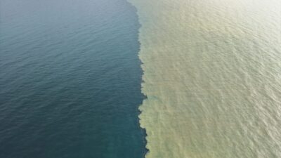 SAMSUN (AA) – Samsun'da etkili olan yağışın ardından Karadeniz'in rengi