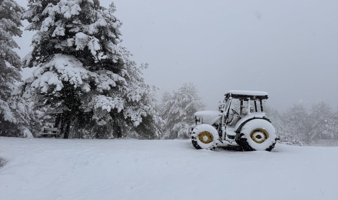SAMSUN (AA) – Samsun'un Alaçam ilçesindeki Kızlan Yaylası'nda etkili olan