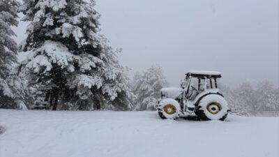 SAMSUN (AA) – Samsun'un Alaçam ilçesindeki Kızlan Yaylası'nda etkili olan