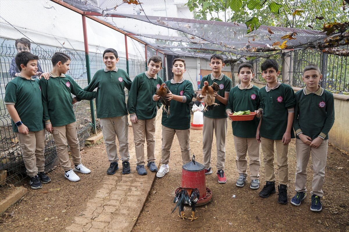 - Aziz Bayraktar İmam Hatip Ortaokulu öğrencileri, müdürün bahçeye kurduğu