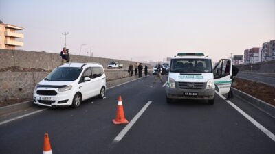 ŞANLIURFA (AA) – Şanlıurfa'nın Siverek ilçesinde, yolun karşısına geçmeye çalışırken