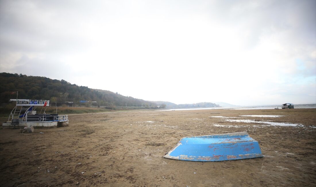 - Sapanca Belediye Başkanı Nihat Arda Şahin:
- "Yüzey sularını yerin