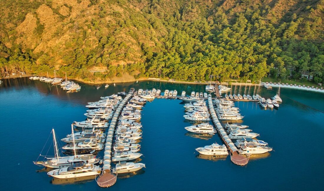 - Koç Holding Turizm, Gıda ve Perakende Grubu Başkanı Özgür