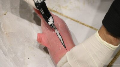 ANKARA (AA) – İçişleri Bakanı Ali Yerlikaya, Siirt'te küçükbaş hayvanların