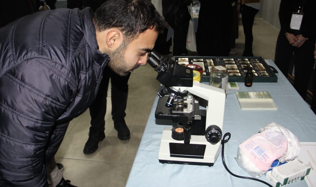 SİNOP (AA) – Sinop Üniversitesi ev sahipliğinde "Uluslararası Öğrenci Sempozyumu"