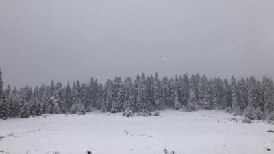 SİNOP (AA) – Sinop'un Türkeli ilçesinde yüksek kesimlerde kar yağışı