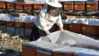 - Uludere ilçesine bağlı Hilal beldesinde yaşayan 61 yaşındaki Suret