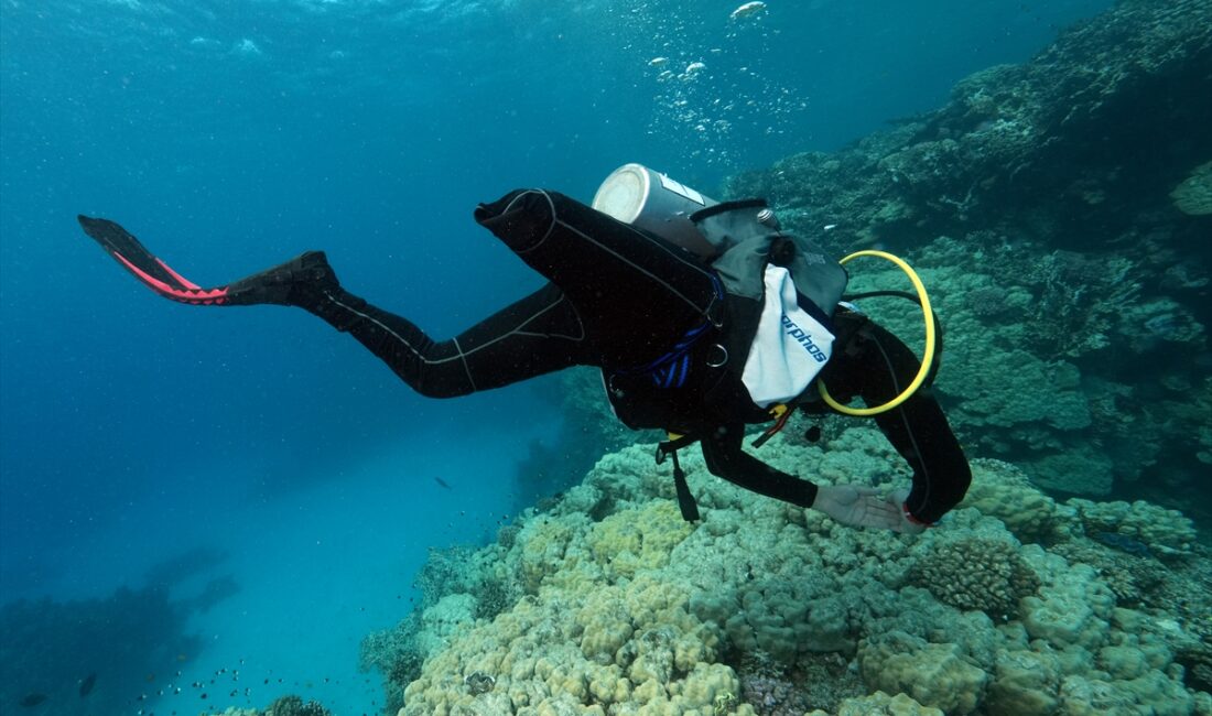 - Trafik kazasında bir ayağını kaybeden dalış tutkunu Özgür Akçı:
-