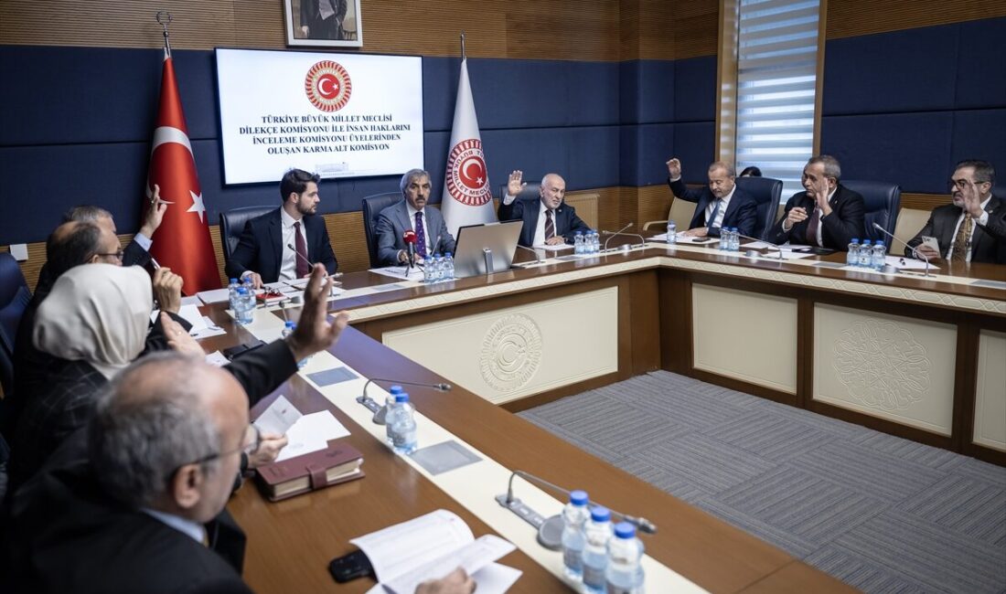 TBMM (AA) – TBMM Dilekçe Komisyonu ile İnsan Haklarını İnceleme