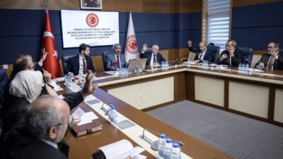 TBMM (AA) – TBMM Dilekçe Komisyonu ile İnsan Haklarını İnceleme