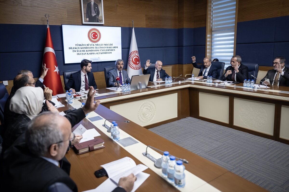 TBMM (AA) – TBMM Dilekçe Komisyonu ile İnsan Haklarını İnceleme