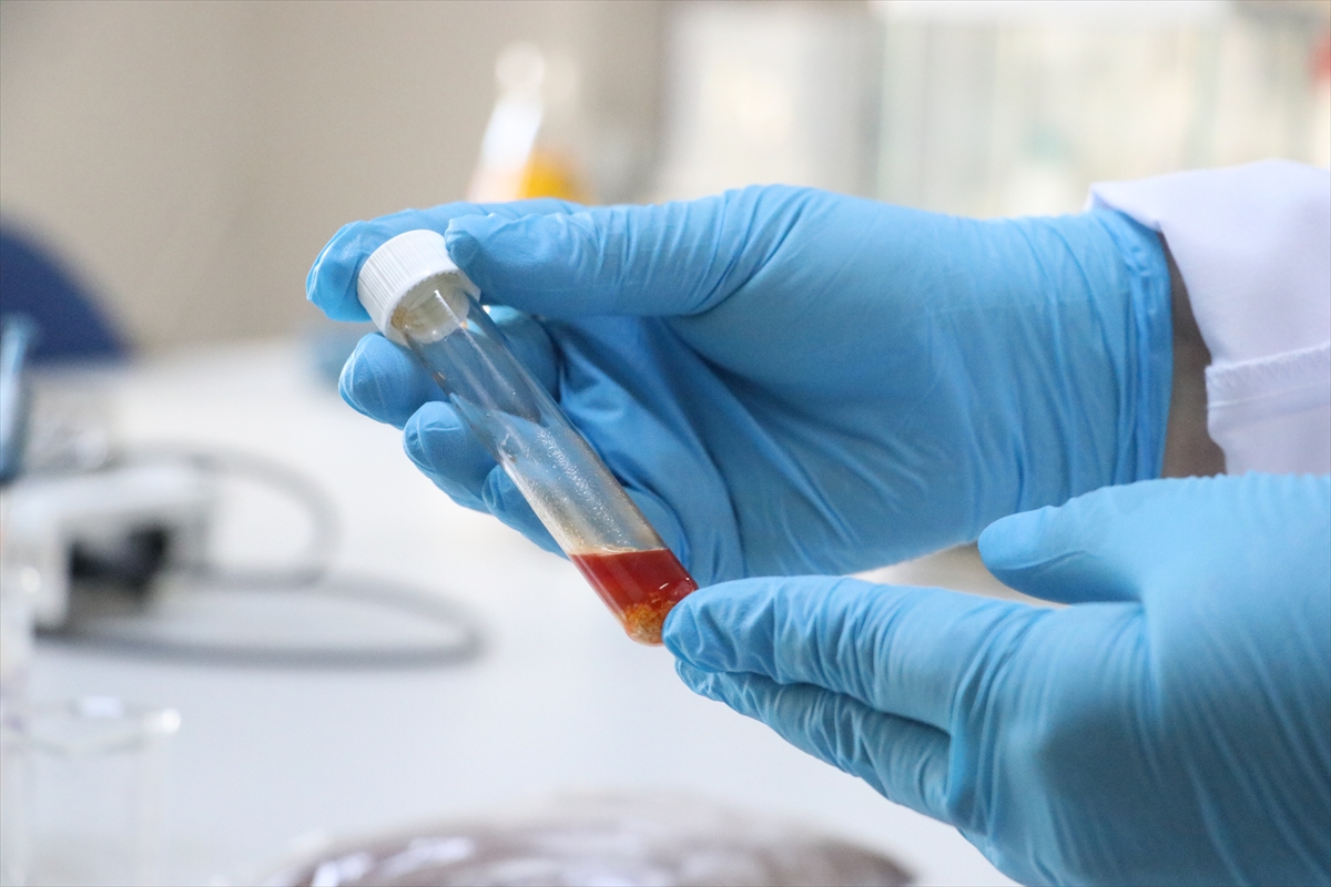 - Namık Kemal Üniversitesi Gıda Mühendisliği Bölümü Öğretim Üyesi Prof.