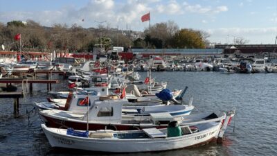 TEKİRDAĞ (AA) – Tekirdağlı balıkçılar, yeni yılda sardalya ve istavrit