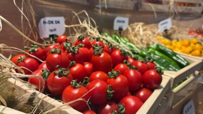 - Batı Akdeniz İhracatçılar Birliği Başkanı Ümit Mirza Çavuşoğlu:
- "Sebze