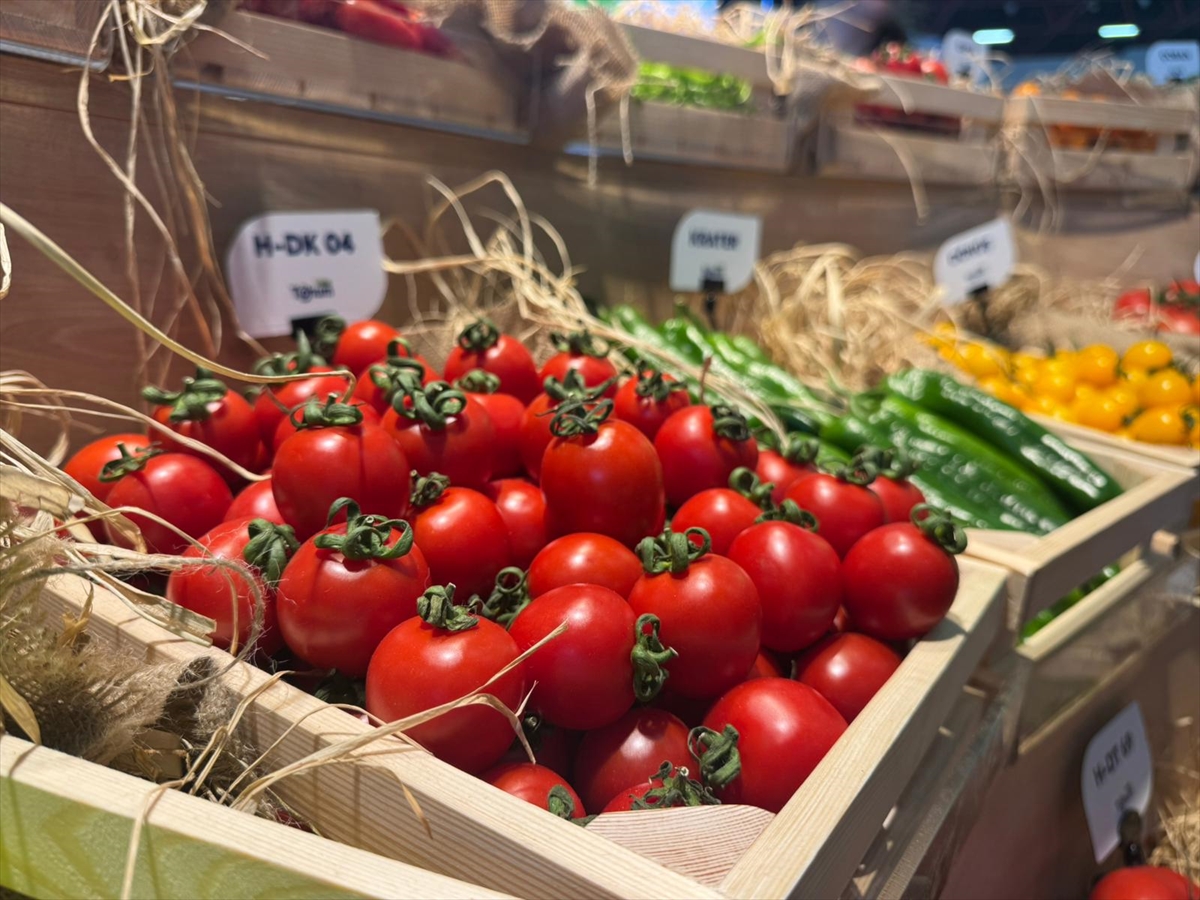 - Batı Akdeniz İhracatçılar Birliği Başkanı Ümit Mirza Çavuşoğlu:
- "Sebze