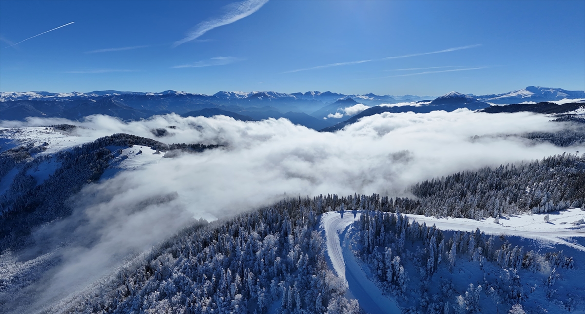 ARTVİN (AA) – Türkiye'nin tek biyosfer rezervi alanı olma özelliğini