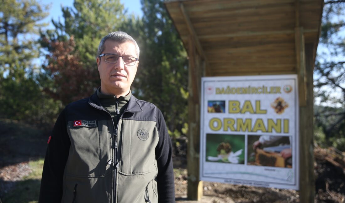 - Bursa Orman Bölge Müdürü Erdal Şahan:
- "Bölge Müdürlüğü olarak
